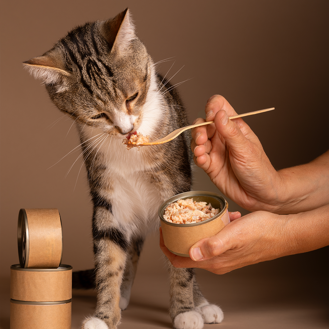 Companion Animals