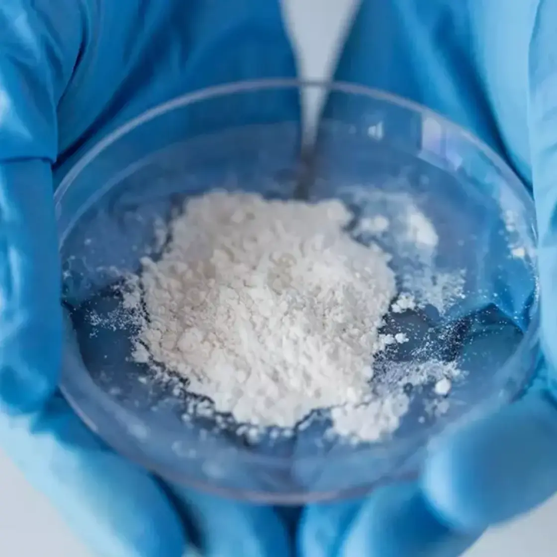 Active Pharmaceutical Ingredients